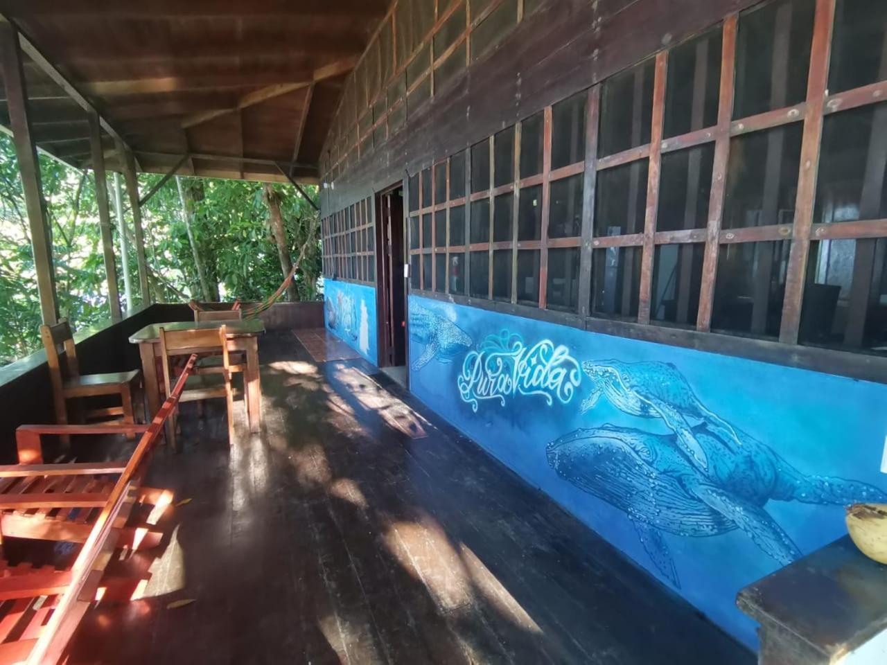 Pirate Drake Beach Hostel & Tour Company Drake Bay Exterior photo